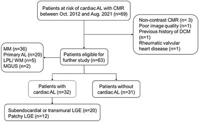 A Risk Score to Diagnose Cardiac Involvement and Provide Prognosis Information in Patients at Risk of Cardiac Light-Chain Amyloidosis